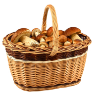 Proutěný koš na nákup a houby – pevný a lehký z vrbového proutí | Proutídekorace.cz